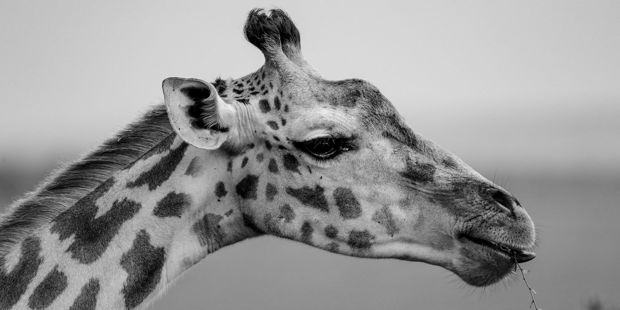 karen kaper - africa1